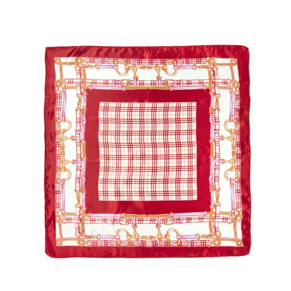 Art of Polo Art Of Polo Woman's Scarf Sz20960-2