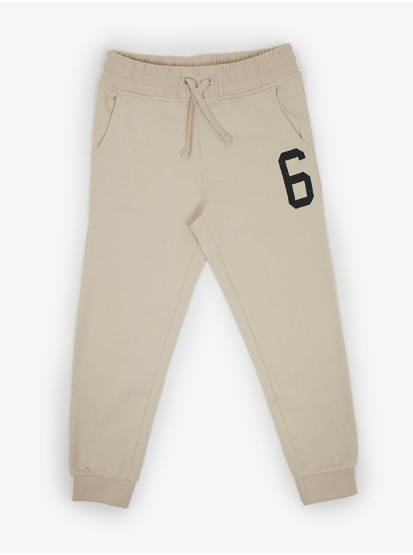 Tom Tailor Beige boys' sweatpants Tom Tailor - Boys