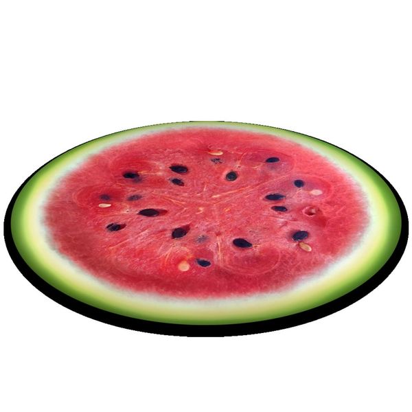 Bertoni Home Bertoni Home Unisex's Codura Chair Cushion Arbuz