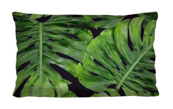 Bertoni Home Bertoni Home Unisex's Rectangular Pillow Galapagos Night