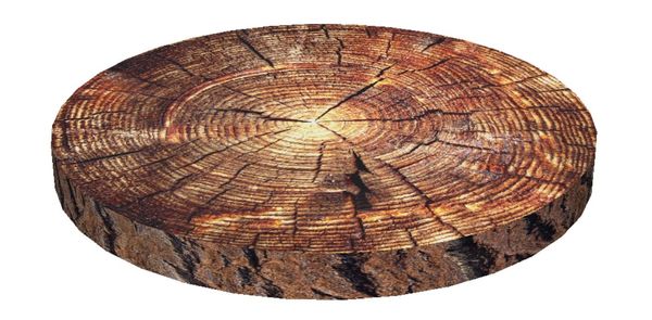 Bertoni Home Bertoni Home Unisex's Ring Chair Cushion Akacja