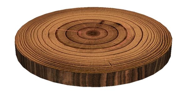 Bertoni Home Bertoni Home Unisex's Ring Chair Cushion Azobe