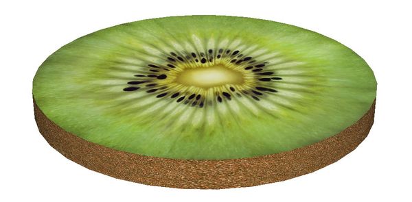 Bertoni Home Bertoni Home Unisex's Ring Chair Cushion Kiwi