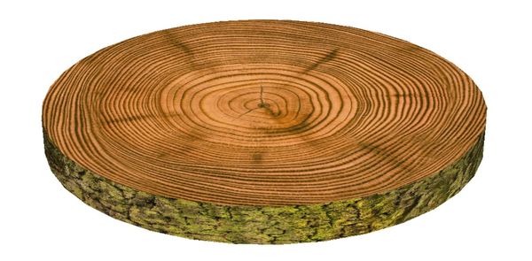 Bertoni Home Bertoni Home Unisex's Ring Chair Cushion Mech