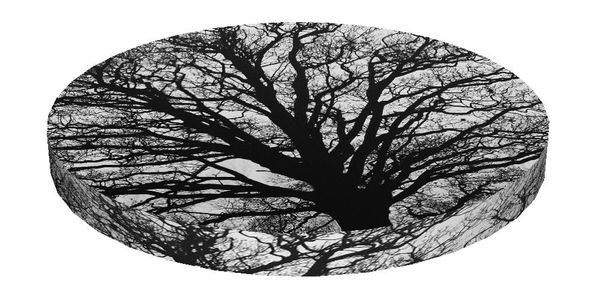 Bertoni Home Bertoni Home Unisex's Ring Chair Cushion Serenity