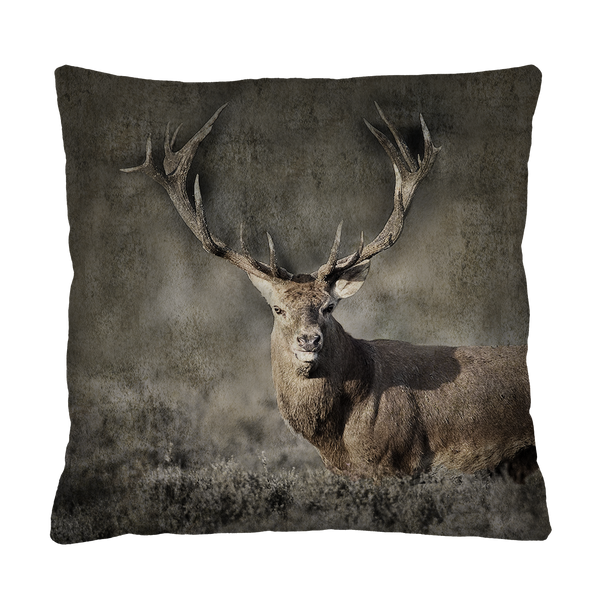 Bertoni Home Bertoni Home Unisex's Square Pillow Amulet