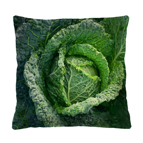 Bertoni Home Bertoni Home Unisex's Square Pillow Cabbage