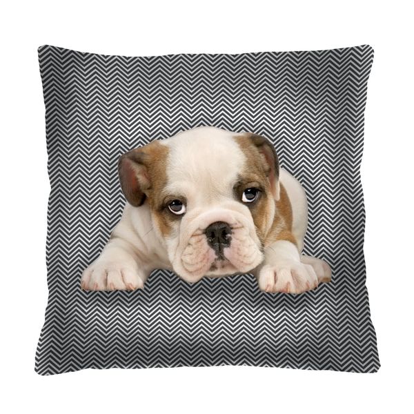 Bertoni Home Bertoni Home Unisex's Square Pillow Niunio