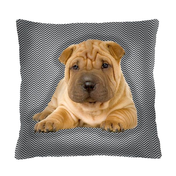 Bertoni Home Bertoni Home Unisex's Square Pillow Scott