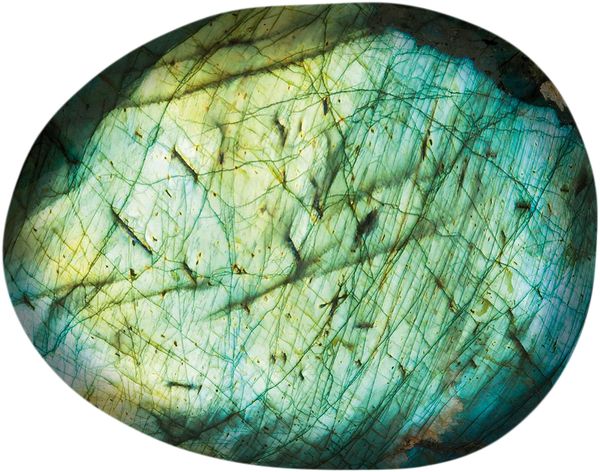 Bertoni Home Bertoni Home Unisex's Stone Pillow Labrador