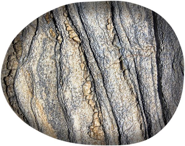 Bertoni Home Bertoni Home Unisex's Stone Pillow Lobos