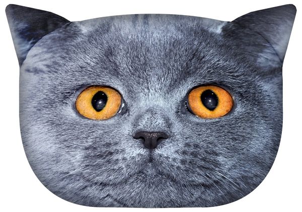 Bertoni Home Bertoni Home Unisex's Travel Cat Pillow With Rubber Leon