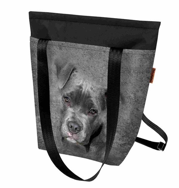 Bertoni Bertoni Unisex's Backpack/Bag 2in1 Pit Bull