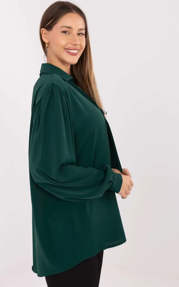 Factory Price Blouse-IT-BZ-28913.17-dark green