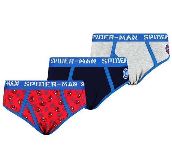 Licensed Boys briefs Spiderman 3P Frogies