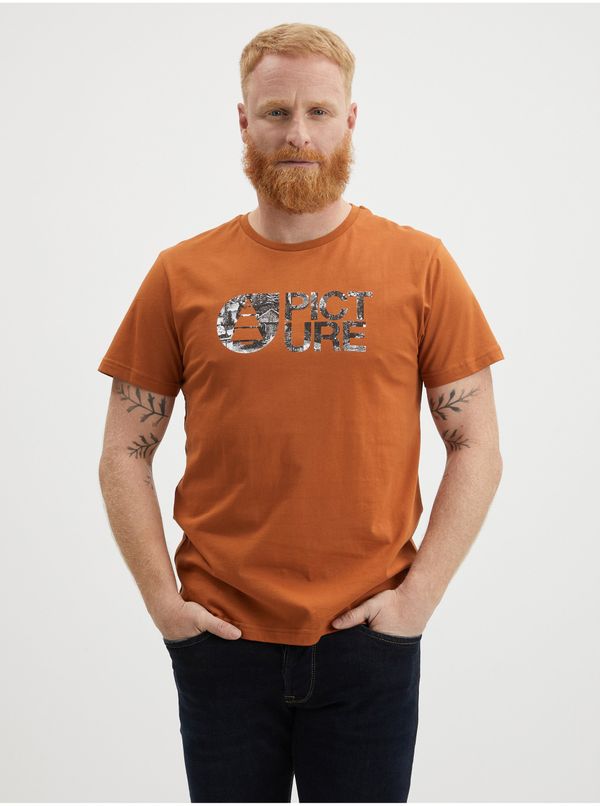 Picture Brown Men's T-Shirt Picture - Men