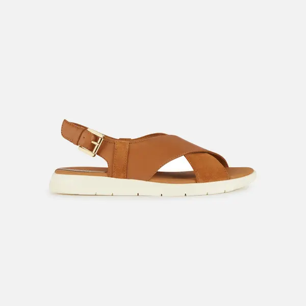 GEOX Brown women's sandals Geox Dandra - Women's