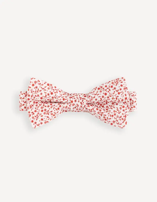 Celio Celio Patterned Gibowflo Bow Tie - Men's