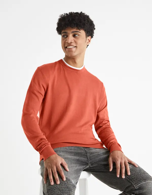 Celio Celio Smooth Sweater Befirst - Men's
