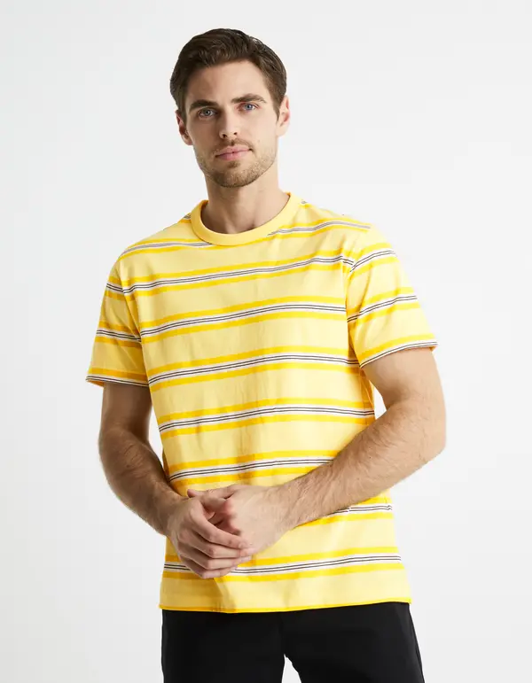 Celio Celio Striped Bewasp T-Shirt - Men's