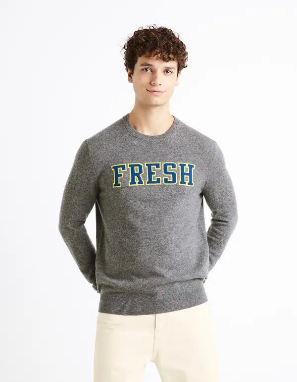 Celio Celio Wool Sweater Cenormal - Men's