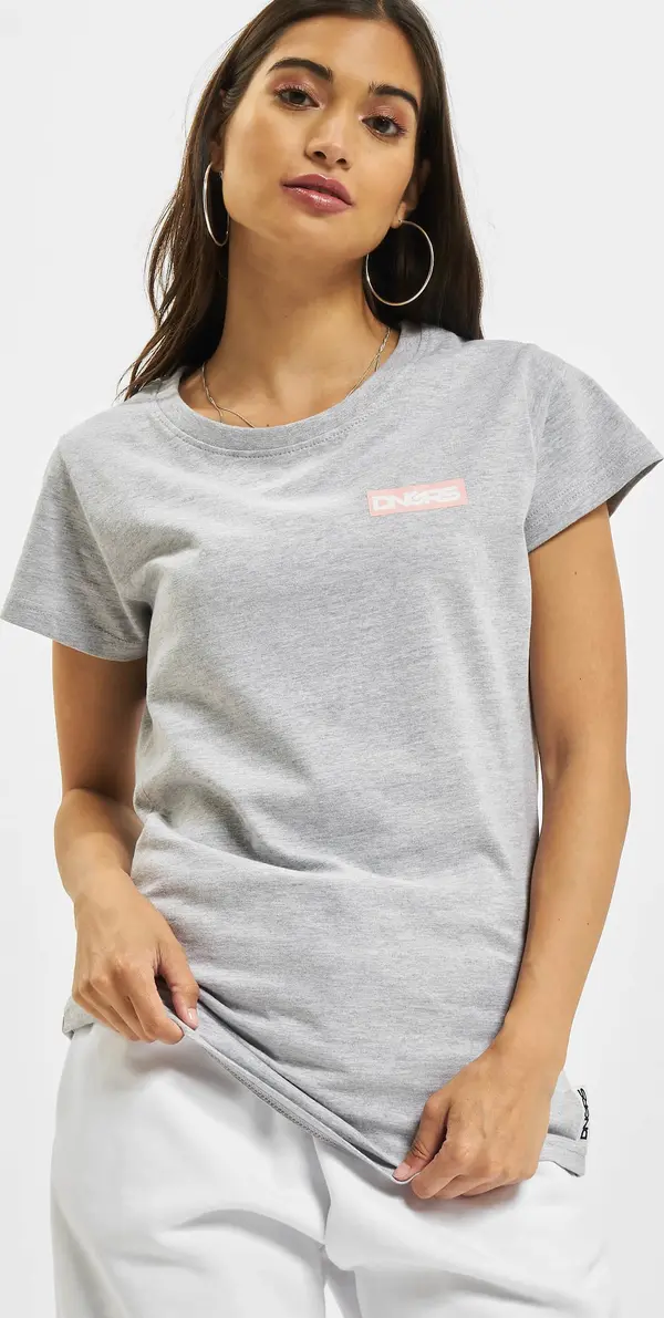 Dangerous DNGRS Crux T-shirt gray