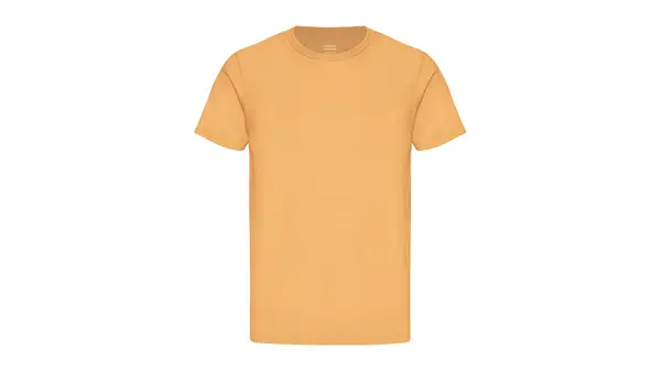 Colorful Standard Цветна стандартна органична тениска в оранжево