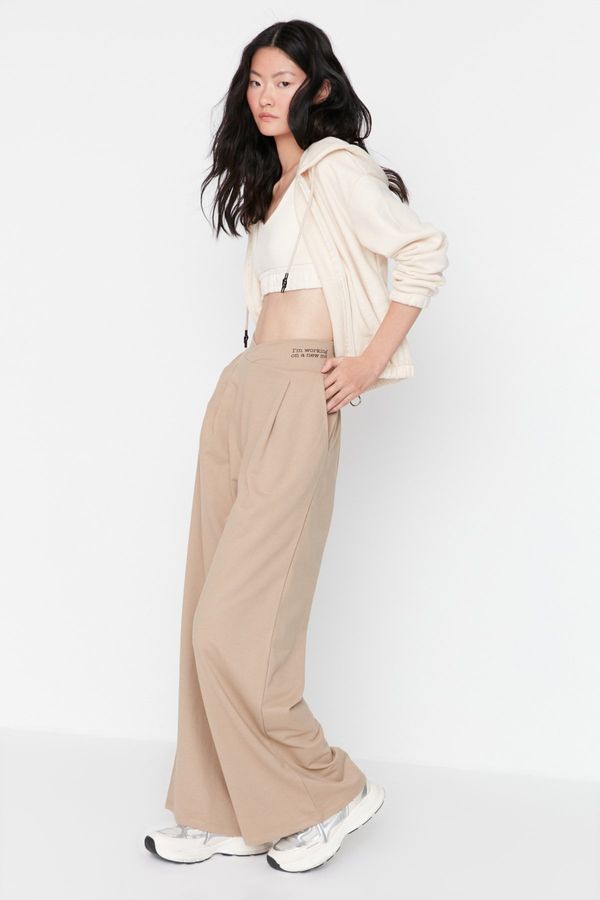 Trendyol Дамски спортен панталон. Trendyol TWOAW23PL00389/Black