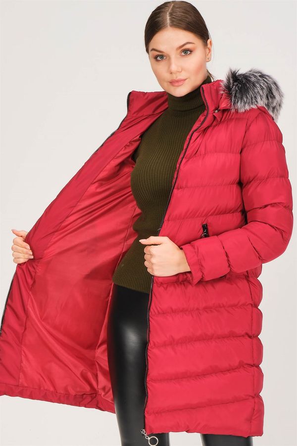 dewberry Дамско яке dewberry