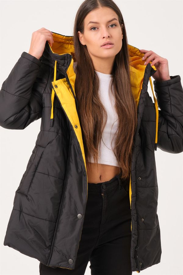 dewberry Дамско яке. dewberry