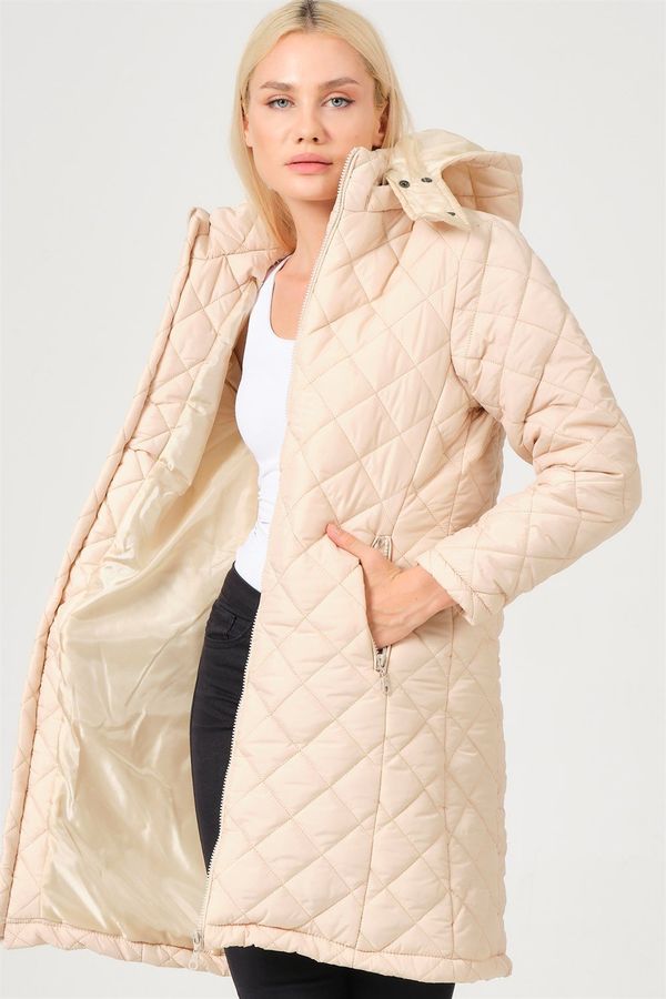 dewberry Дамско яке. dewberry