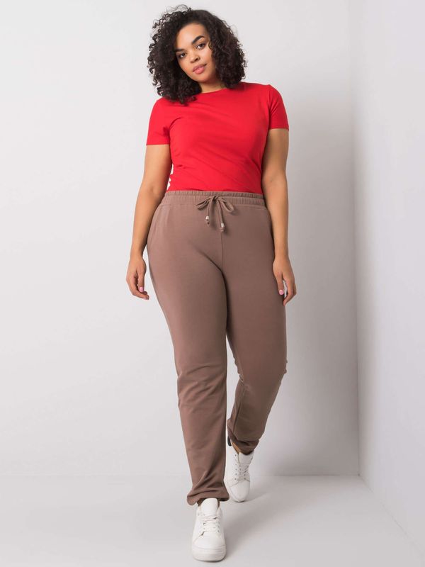 Fashionhunters Dark beige women's sweatpants plus size