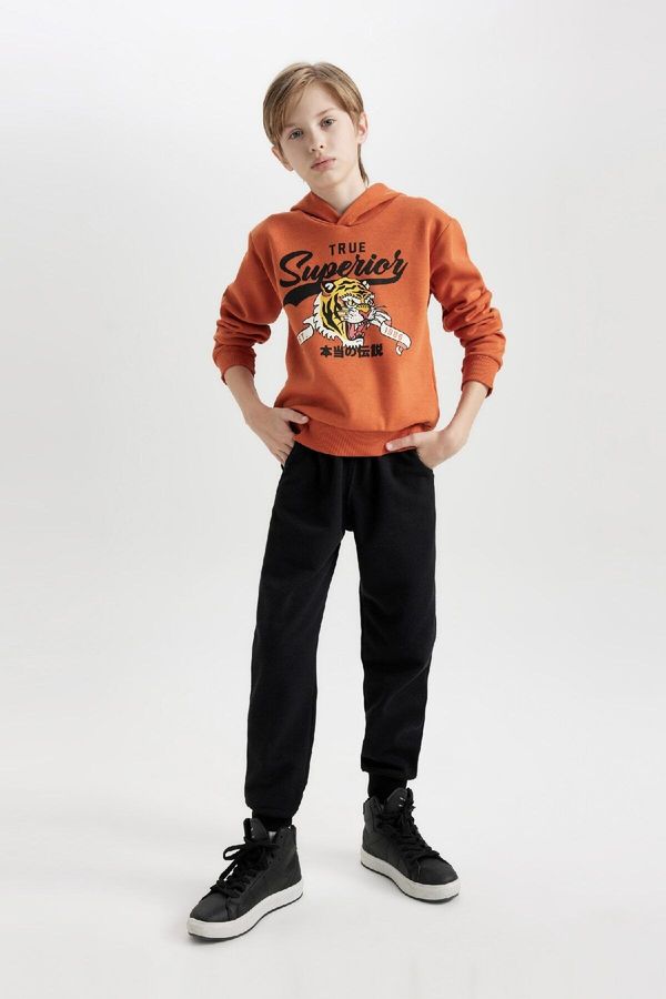 DEFACTO DEFACTO Boys 2-Piece Set Tiger Printed Hooded Thick Sweatshirt Elastic Waist Jogger Tracksuit Bottoms