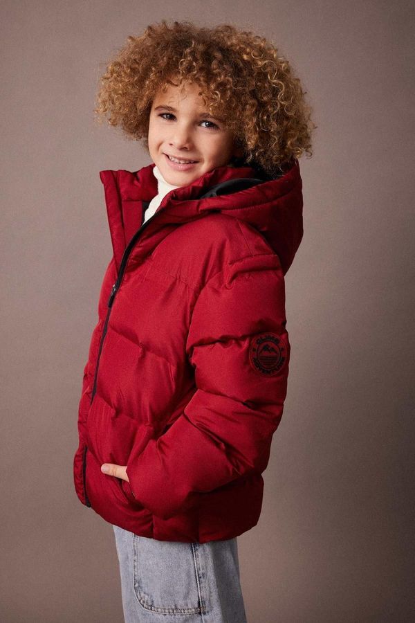 DEFACTO DEFACTO Boy's Water Repellent Hooded Puffer Jacket