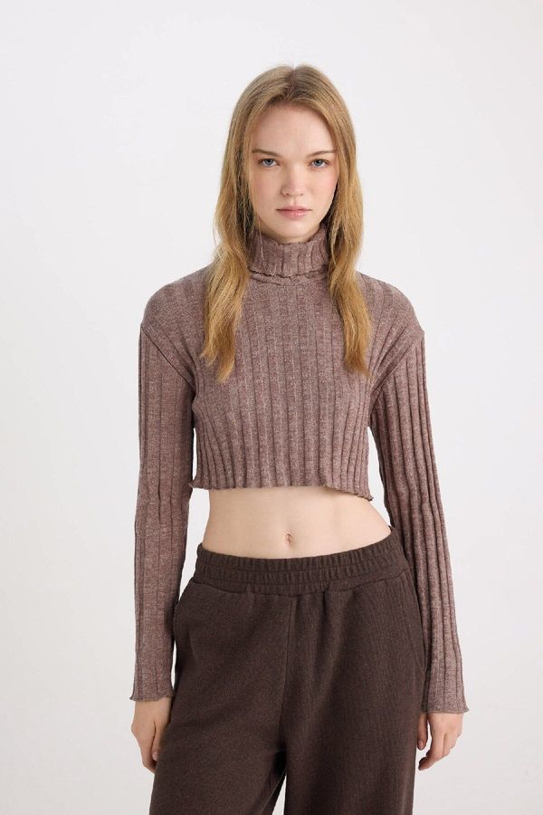 DEFACTO DEFACTO Coool Turtleneck Crop Top Basic Plain Ribbed Camisole Long Sleeve T-Shirt E1673AX24WN