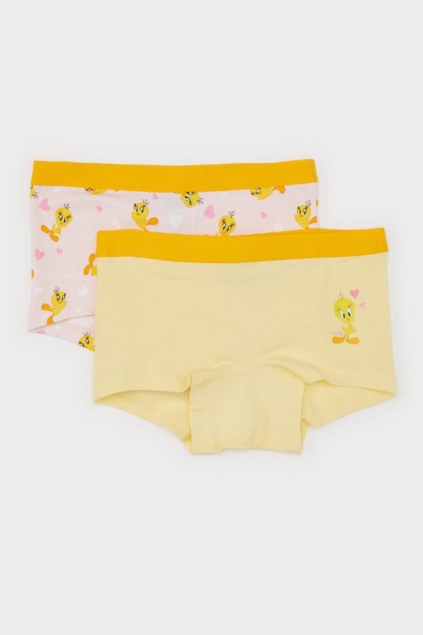 DEFACTO DEFACTO Girl Looney Tunes 2-Pack Boxer