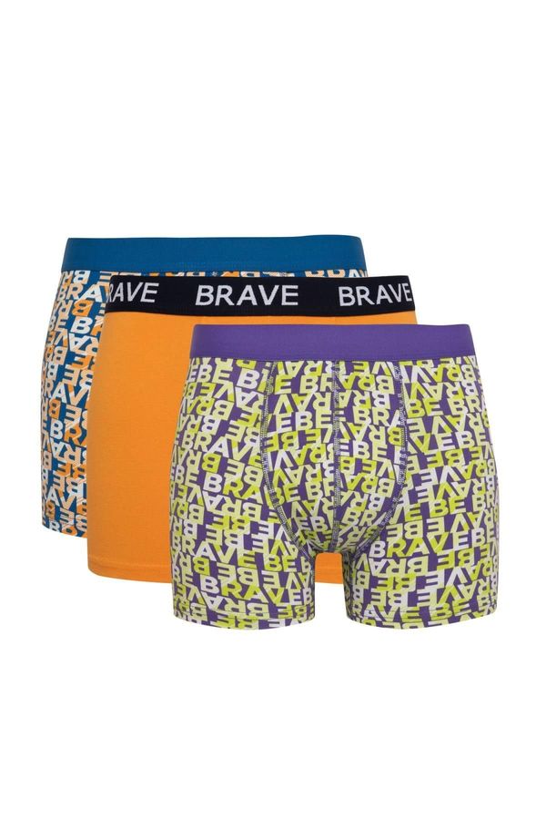 DEFACTO DEFACTO Regular Fit 3-pack Boxer