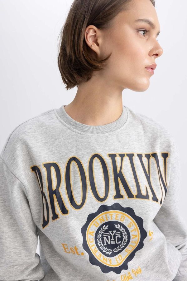 DEFACTO DEFACTO Regular Fit Crew Neck Thick Sweatshirt