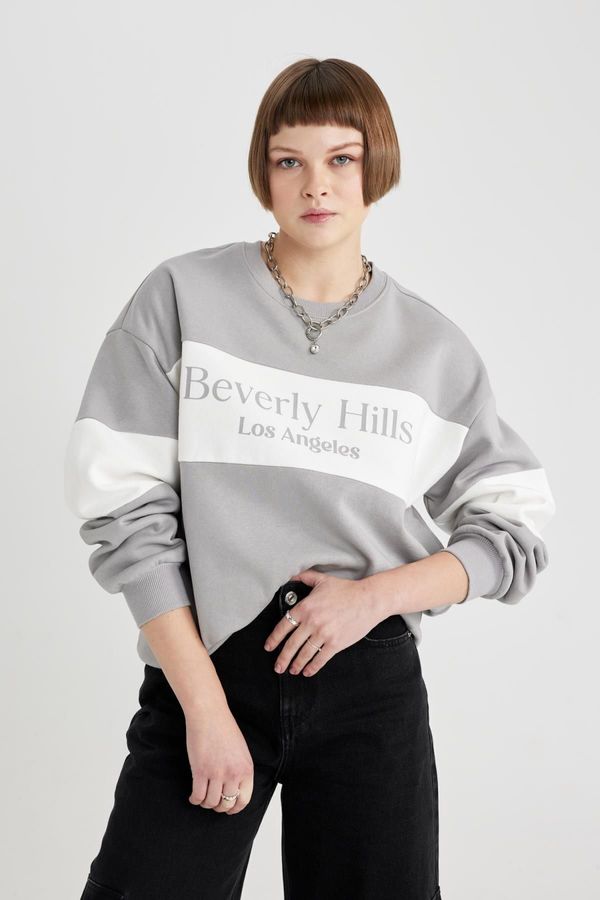 DEFACTO DEFACTO Relax Fit Crew Neck Printed Thick Sweatshirt