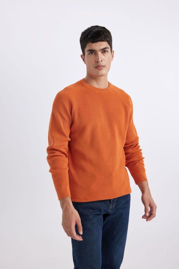 DEFACTO DEFACTO Standard Fit Crew Neck Sweater