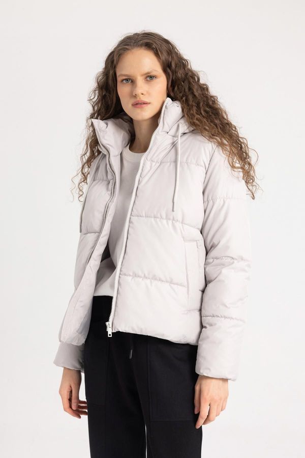 DEFACTO DEFACTO Waterproof Regular Fit Hooded Puffer Jacket