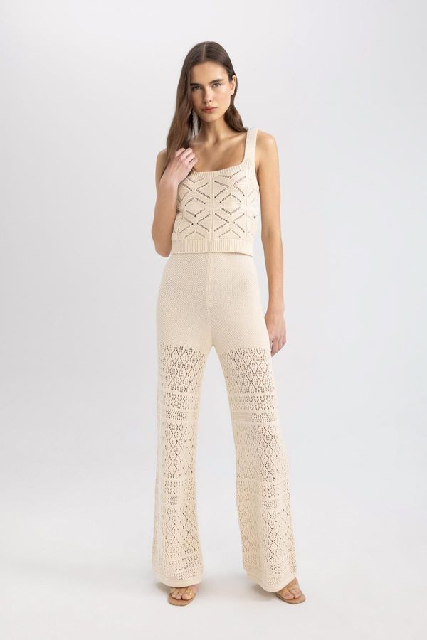 DEFACTO DEFACTO Wide Leg Crochet Lined Trousers