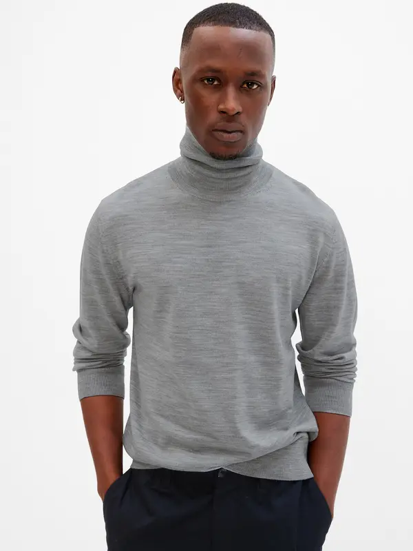 GAP GAP Wool Merino Sweater with Turtleneck - Men's