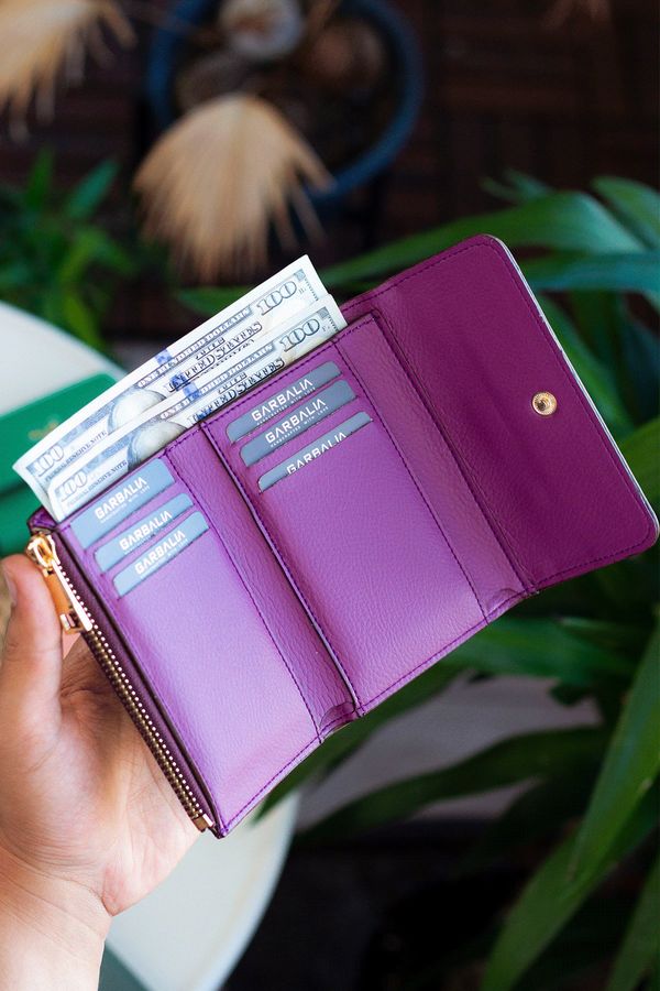 Garbalia Garbalia Vargas Purple (Purple) Women's Wallet with Zipper and Banknote Compartmen