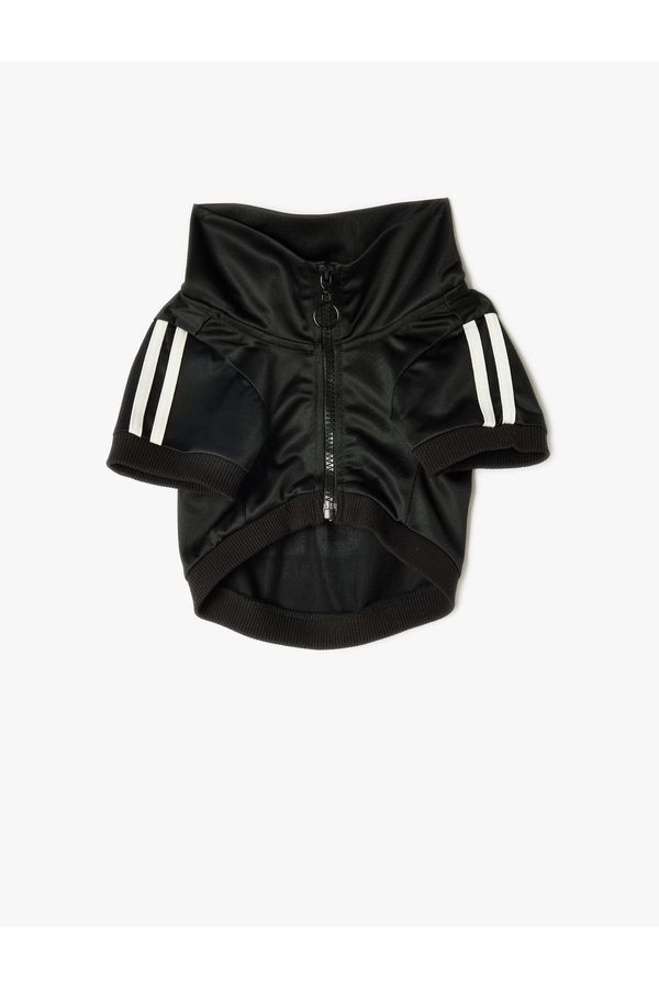 Koton Koton Dog Sweatshirt Stand Collar Piping Zippered