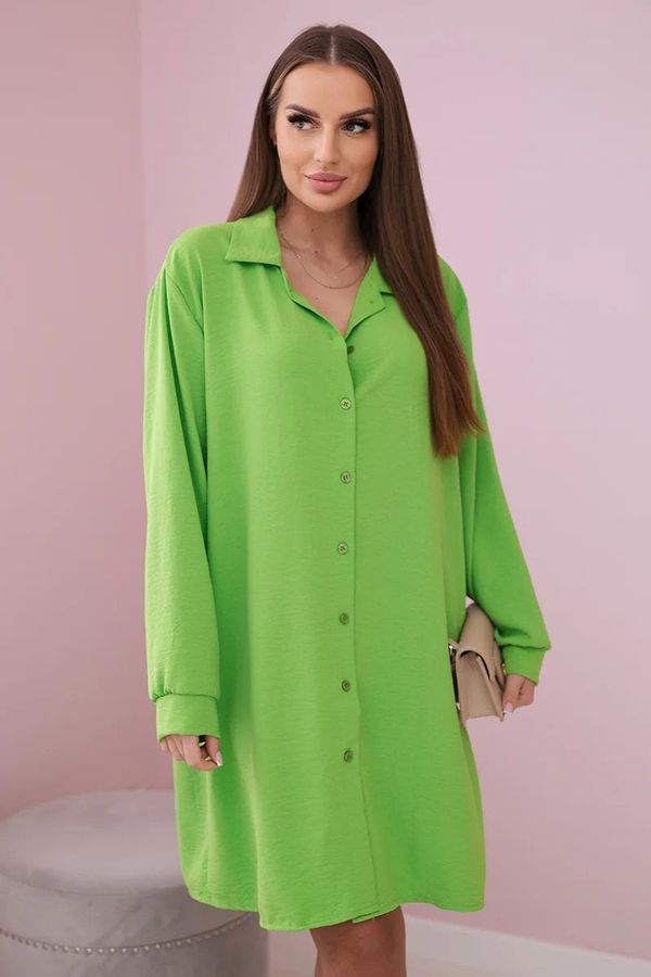 Kesi Włoski Long shirt with viscose light green color