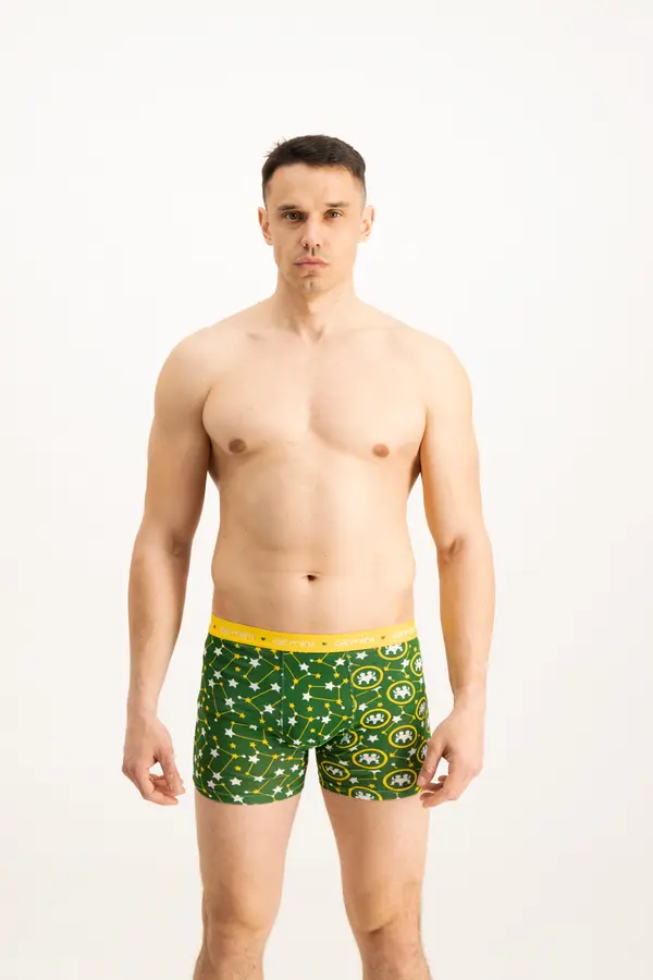Frogies Men's boxers Frogies Zodiac Близнаци
