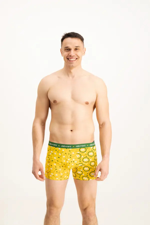 Frogies Men's boxers Frogies Zodiac Близнаци