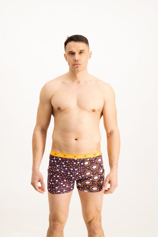 Frogies Men's boxers Frogies Zodiac Лъв