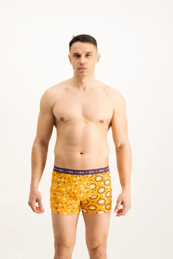 Frogies Men's boxers Frogies Zodiac Лъв